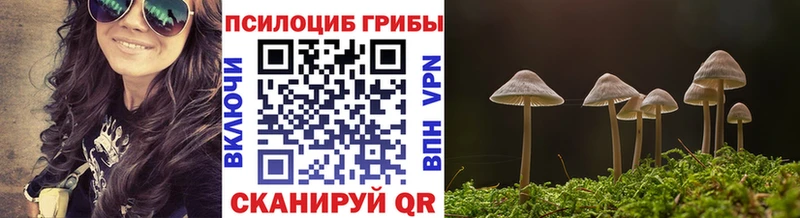 что такое наркотик  Рудня  Псилоцибиновые грибы мицелий 